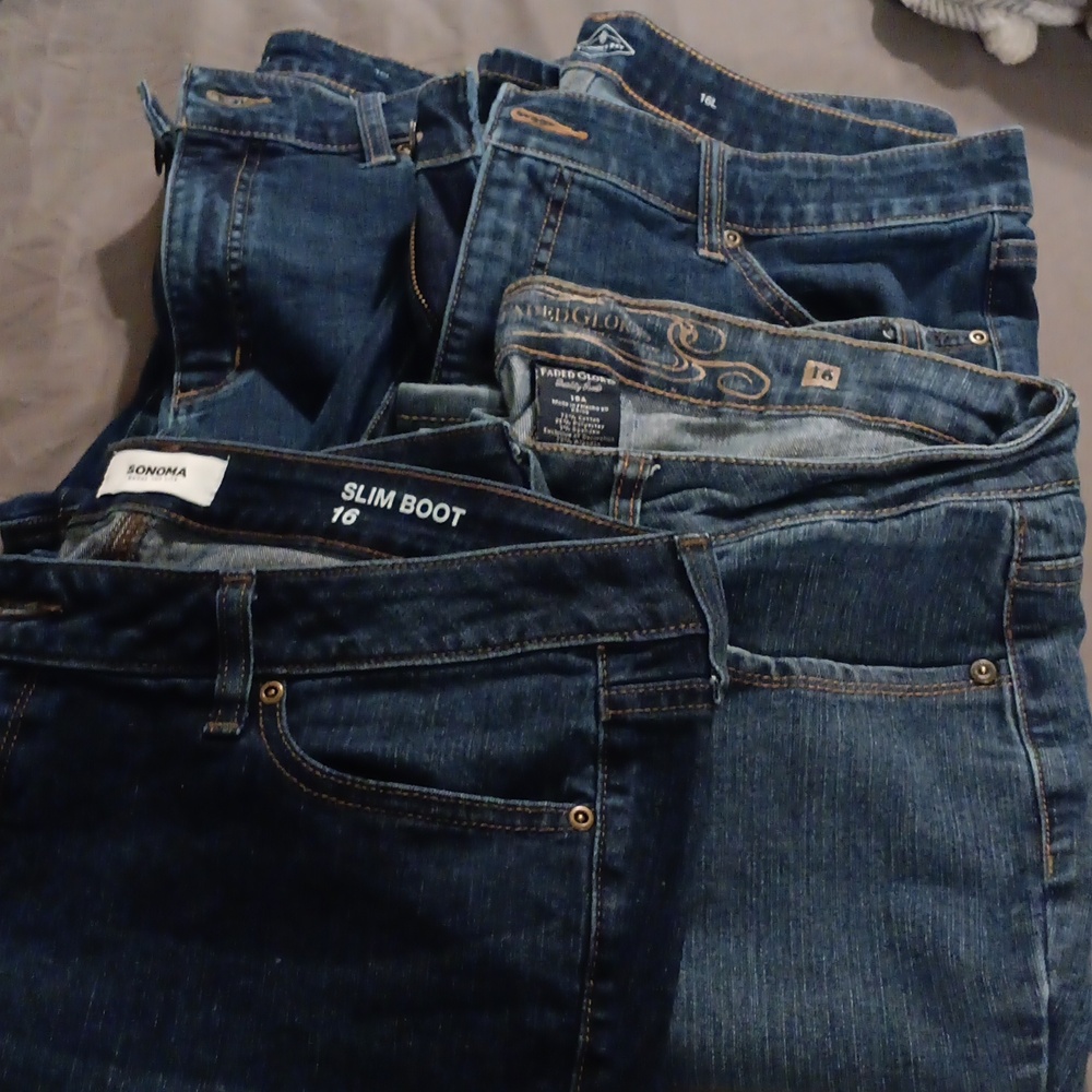 St John's Bay, Sonoma, and Faded Glory boot cut jeans bundle
